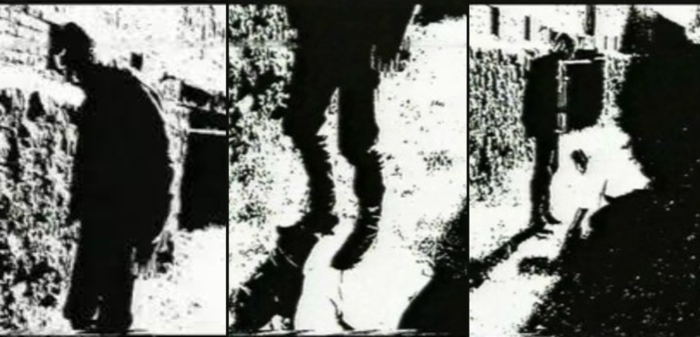 Квіти Святого Франциска