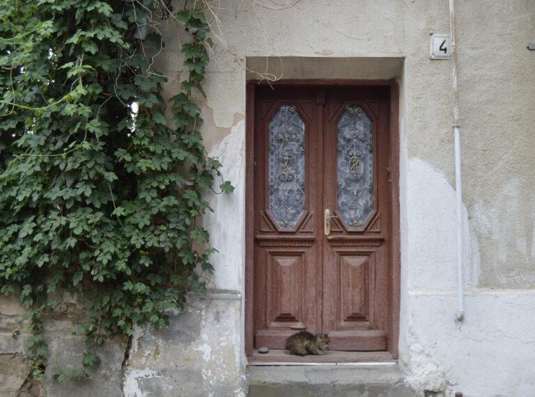 Зустрінемося коло брами