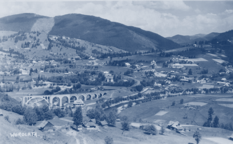 У домашній дикій глушині