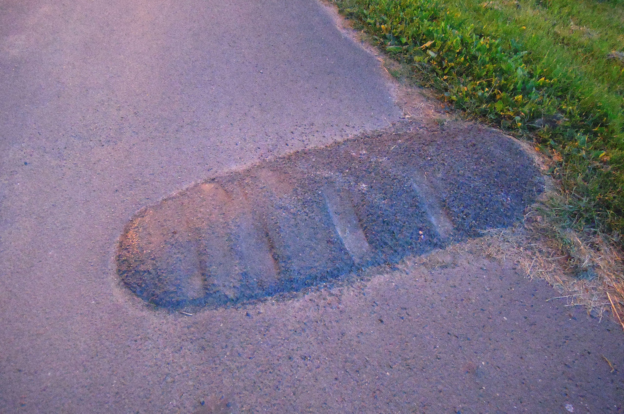 шнурівки. 116 см