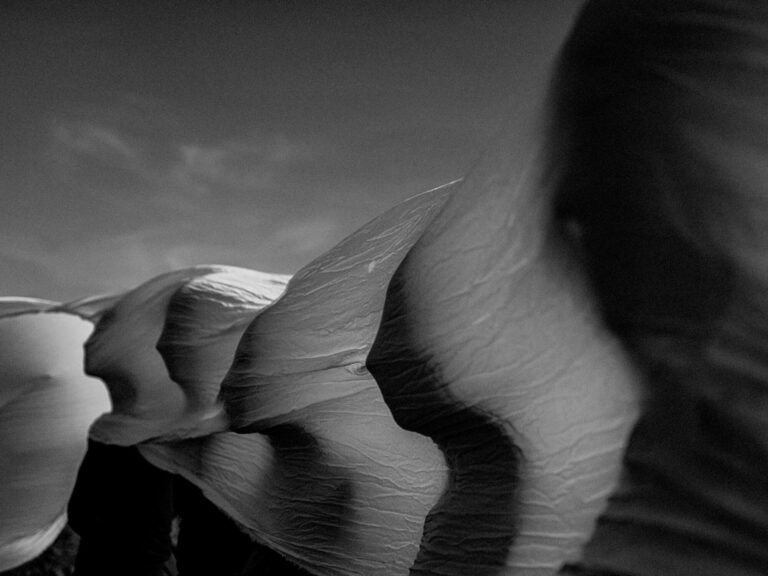 КОЛИ БУЛЬБАШКА ЛУСНЕ?